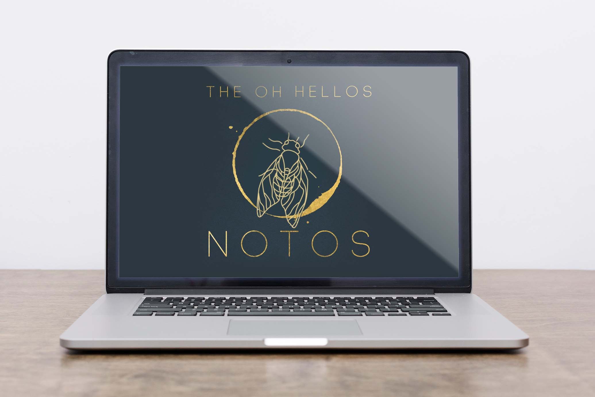 Constellations by The Oh Hello's